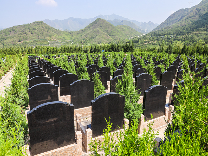 在陵园上，天寿陵园和景仰园哪个更出色(天寿和景仰园如何选择）