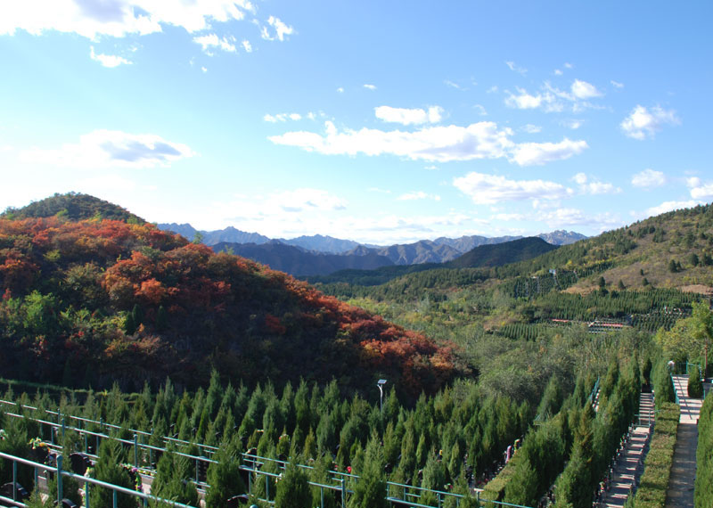 中元节，景仰园有代祭扫服务吗（景仰园如何）
